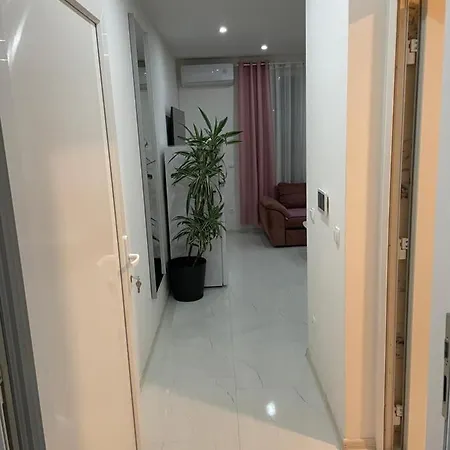 Muric * ليوبليانا