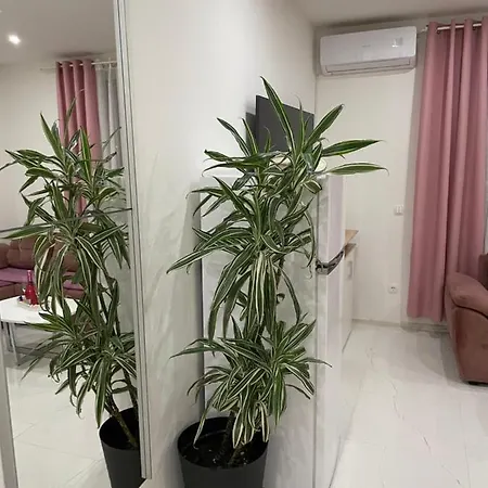 Muric Apartman *
