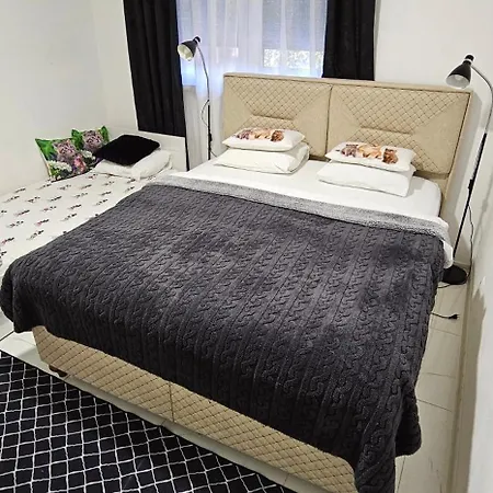 Muric * לובליאנה