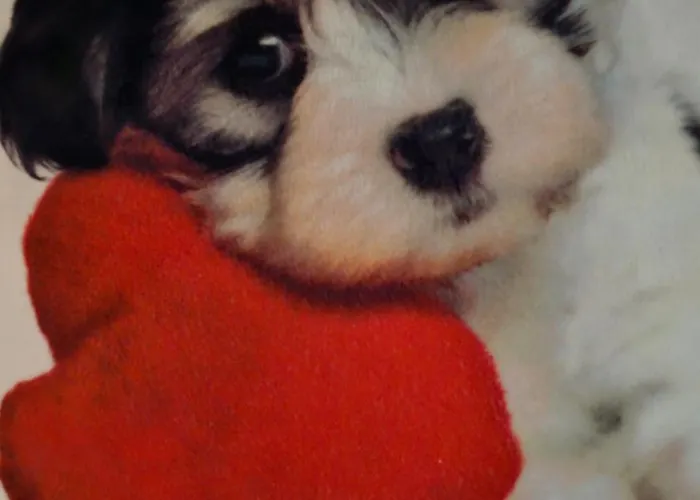 Muric Любляна