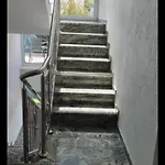 Muric Ljubljana